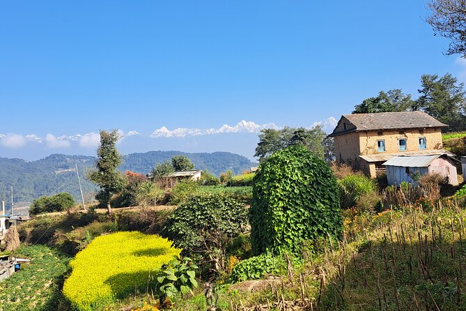 The Most Beautiful 1 Day Experience in Kathmandu Nepal - Price Breakdown: Why $80 Can Make Sense