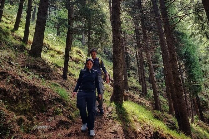 Top Tibba Trek - Mussoorie - Why Top Tibba feels like a real detour from town