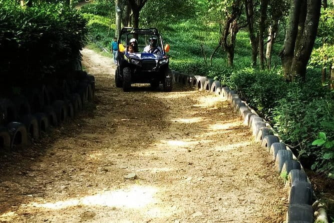 Triund Trek - Price and logistics: why the structure keeps it affordable